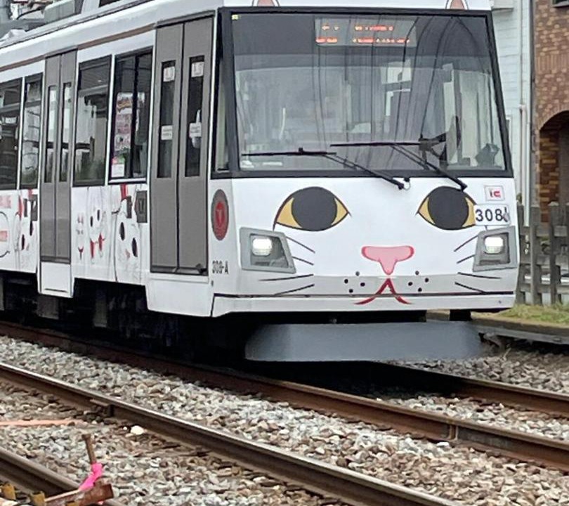 Photo of Others in Setagaya