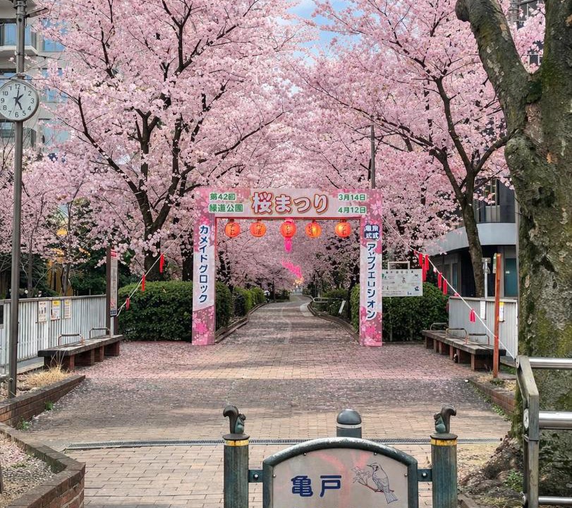 Photo of Others in Ojima