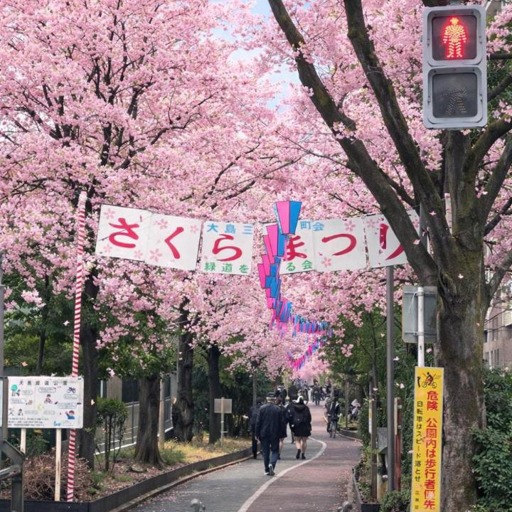 Photo of Others in Ojima