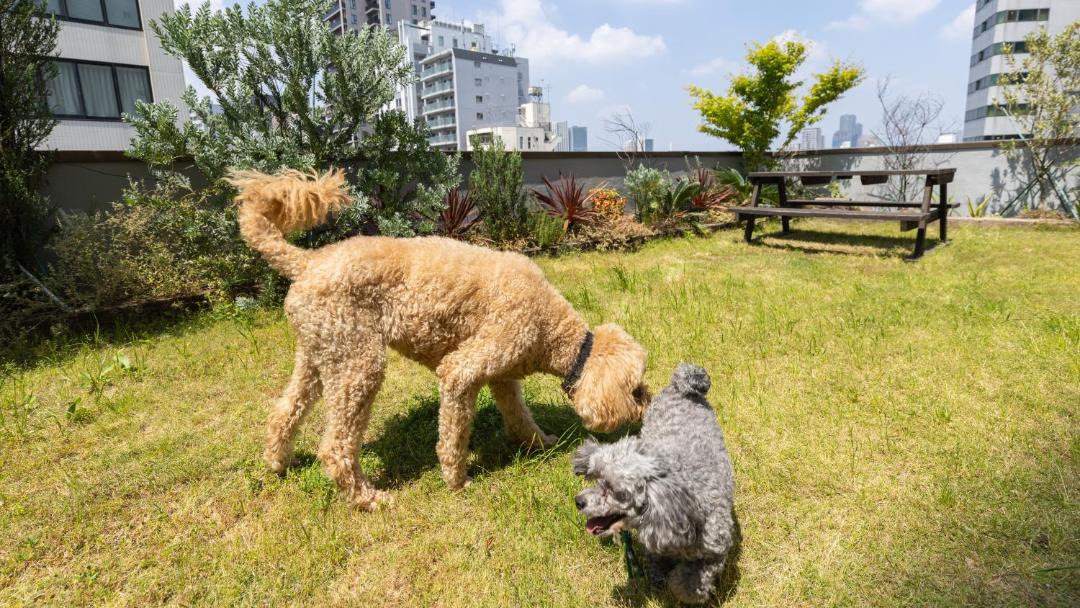 Photo of Outdoor in Takanawa