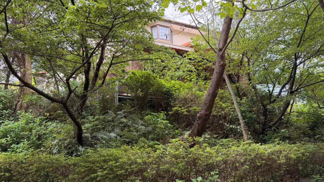 Photo of Others in Yawatano