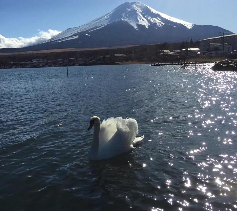 Photo of Others in Sumida
