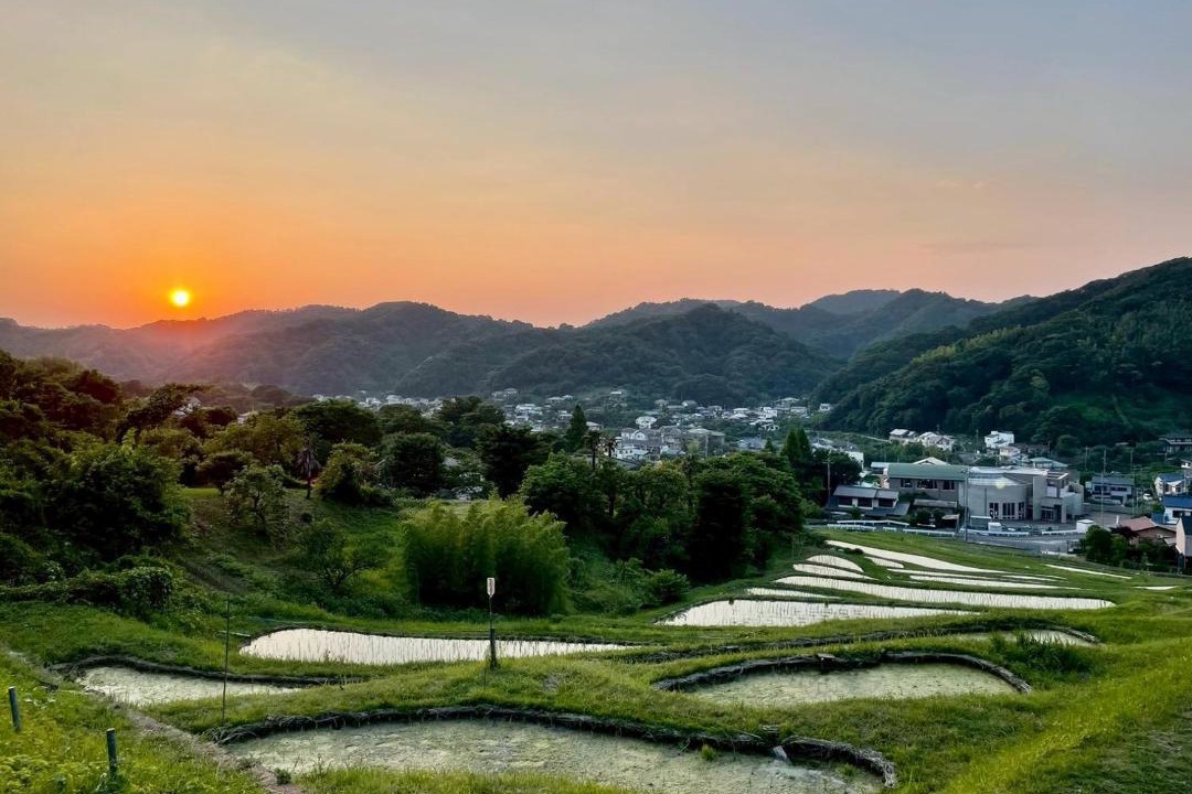 Photo of Others in Hayama
