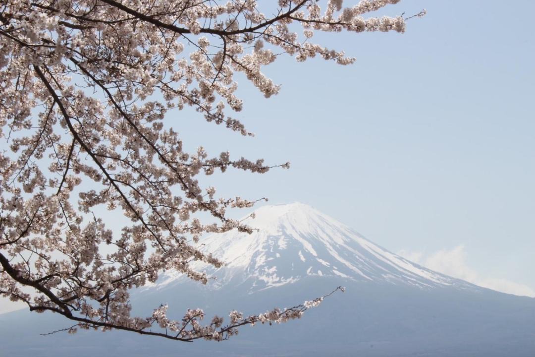Photo of Others in Fujikawaguchiko