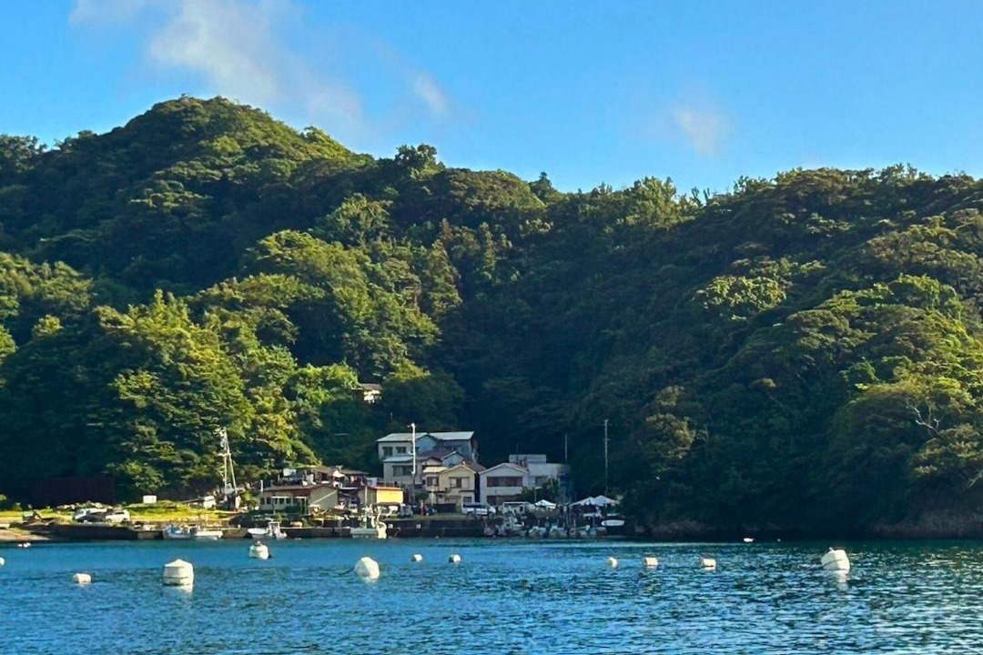Photo of Others in Nishiizu