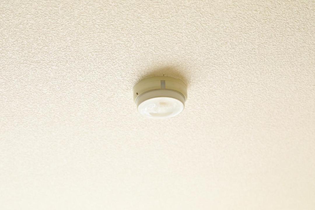 Photo of Others in Minamisuna