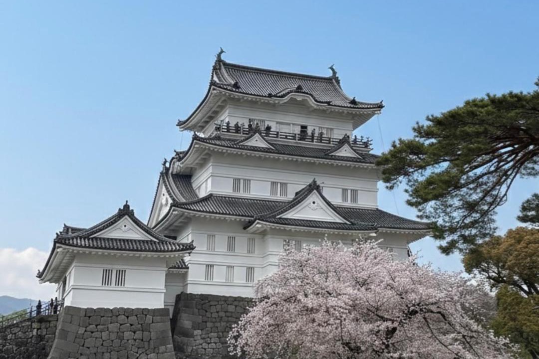 Photo of Others in Odawara