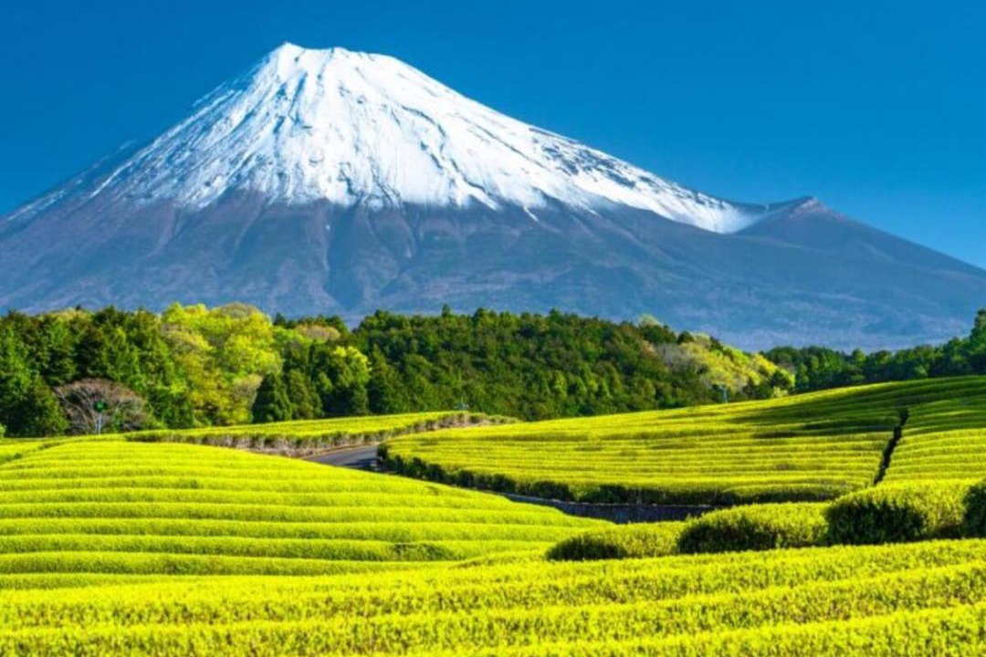 Photo of Others in Fuji