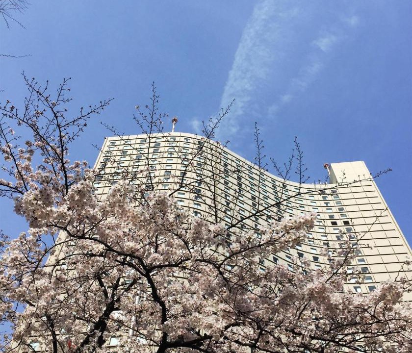 Photo of Others in Nishi-Shinjuku