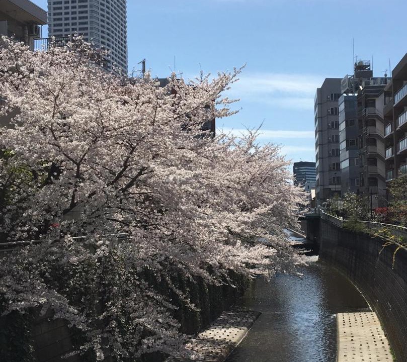 Photo of Others in Nakano