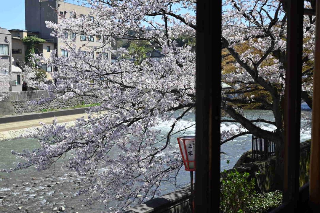 Photo of Others in Kanazawa