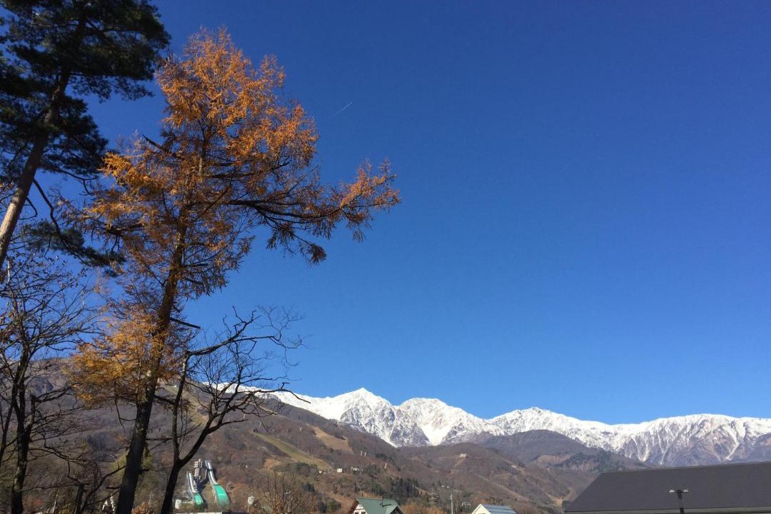 Photo of Others in Hakuba