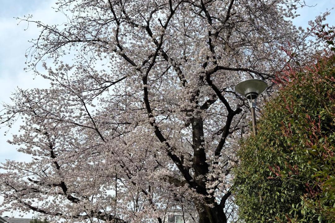 Photo of Outdoor in Kamitakada