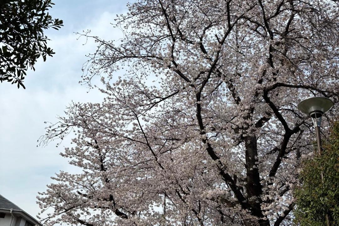 Photo of Outdoor in Kamitakada