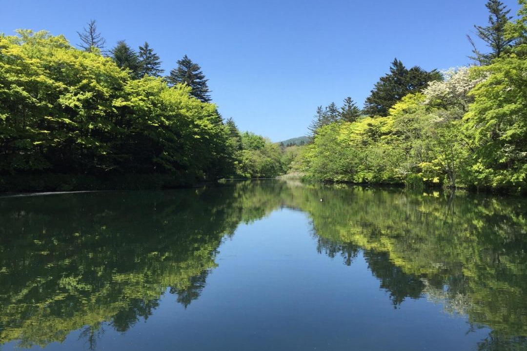 Photo of Others in Kyukaruizawa