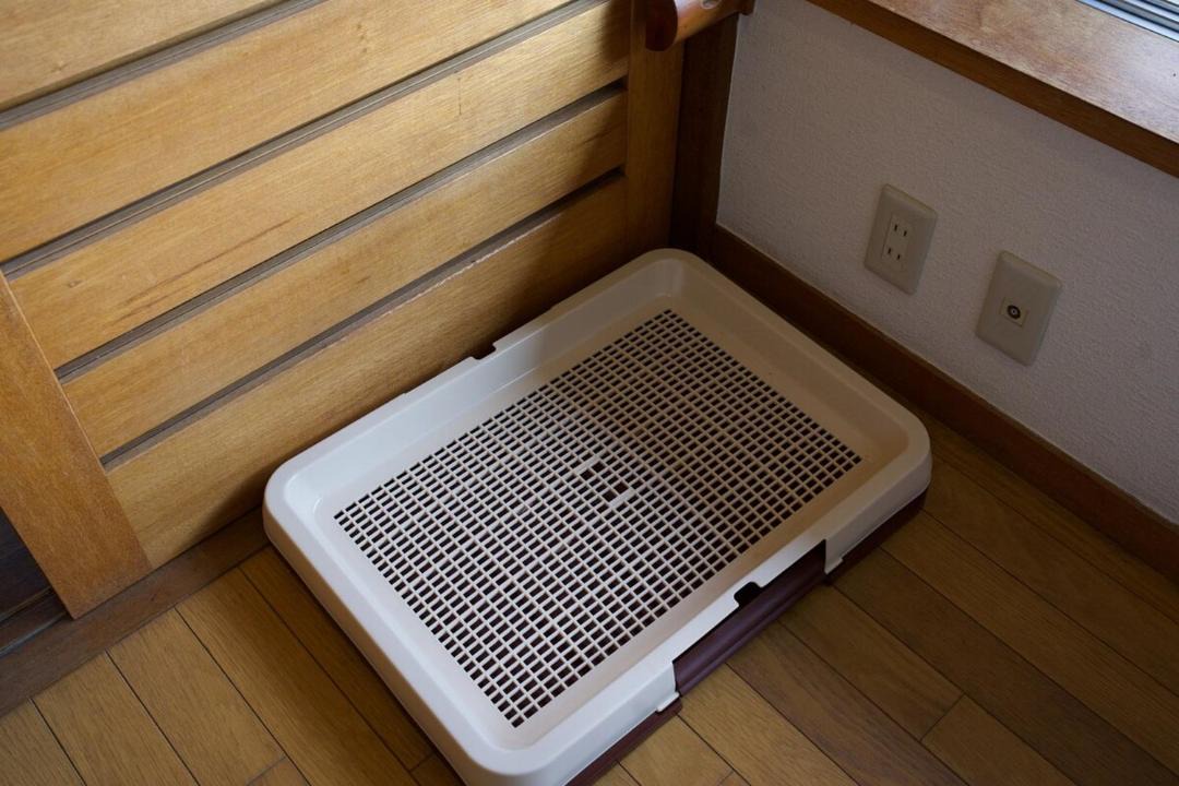 Photo of Others in Tokigawa-machi