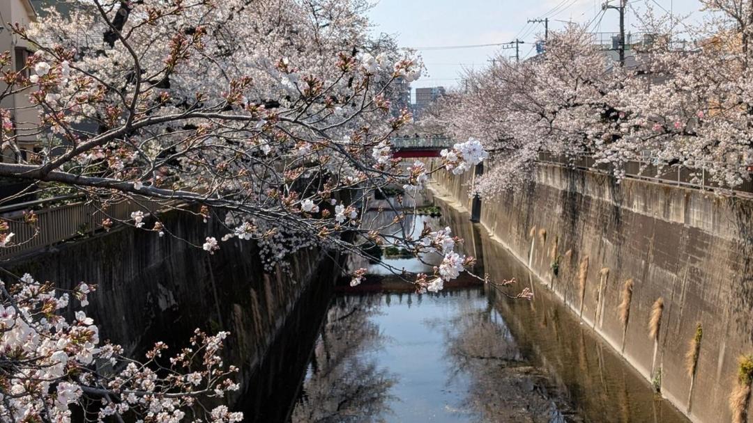 Photo of Others in Itabashi