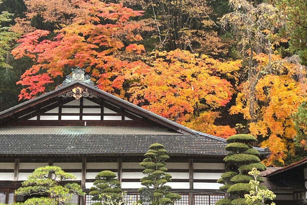 Photo of Others in Narai-juku