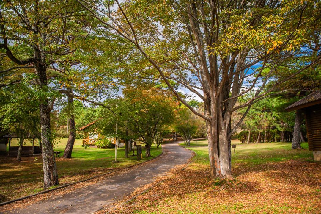 Photo of Others in Jinsekikogen