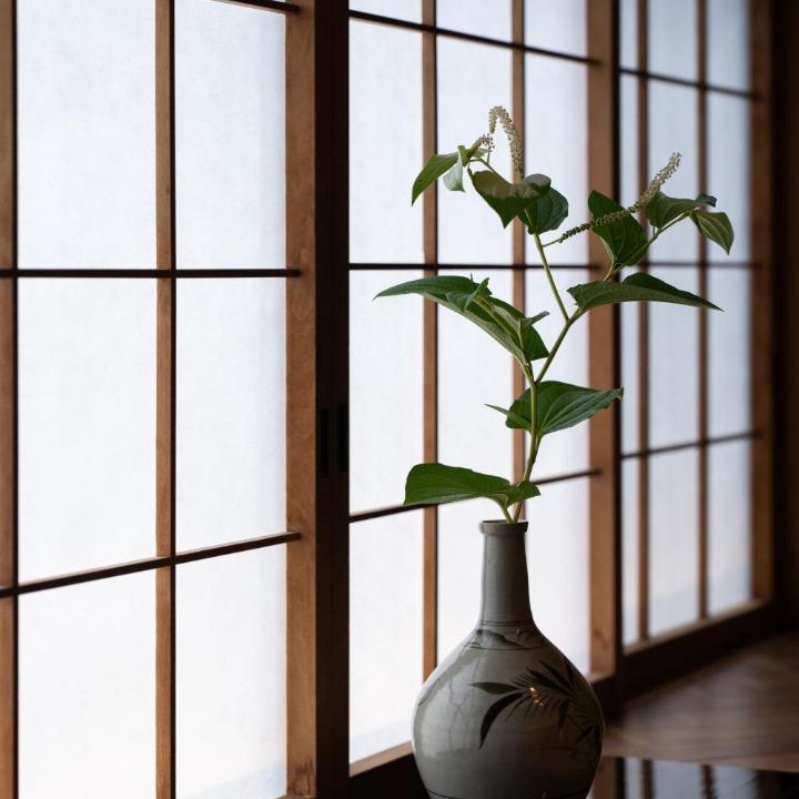 Photo of Others in Nakamura