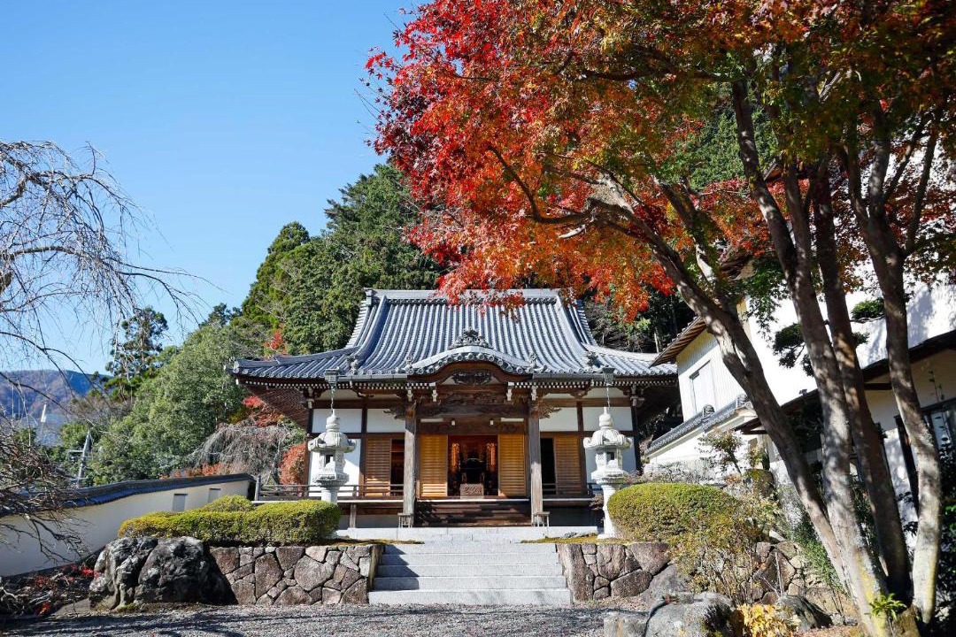 Photo of Others in Minobu
