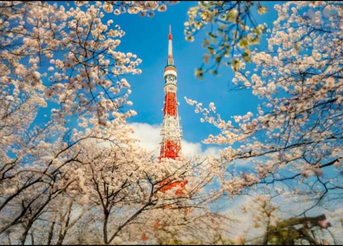 Photo of Others in Itabashi