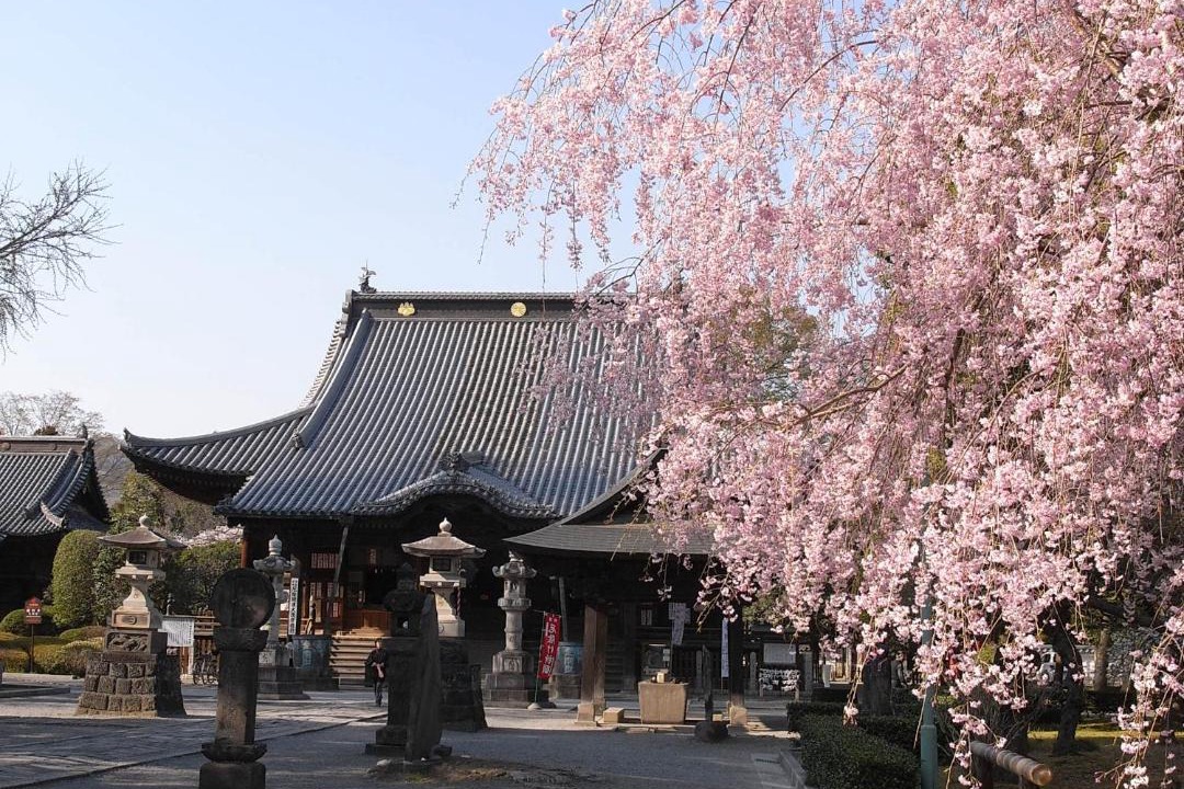 Photo of Others in Ashikaga