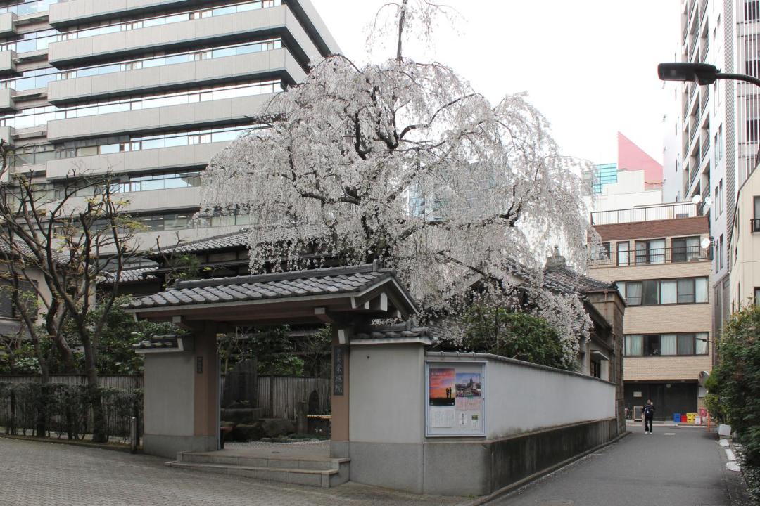 Photo of Others in Shiba