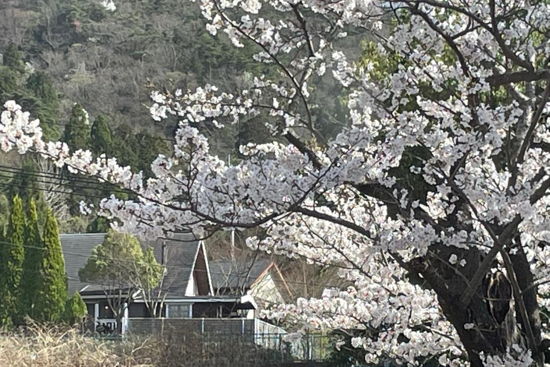 Photo of Others in Kita Ward
