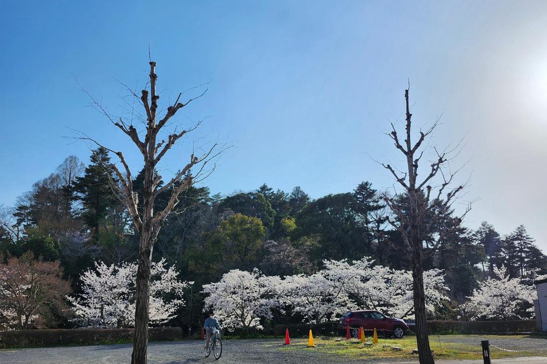 Photo of Others in Kameoka