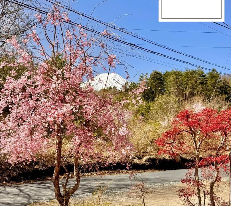 Photo of Others in Minamitsuru-gun