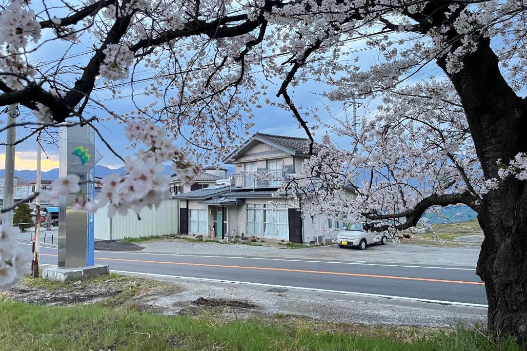 Photo of Others in Kofu