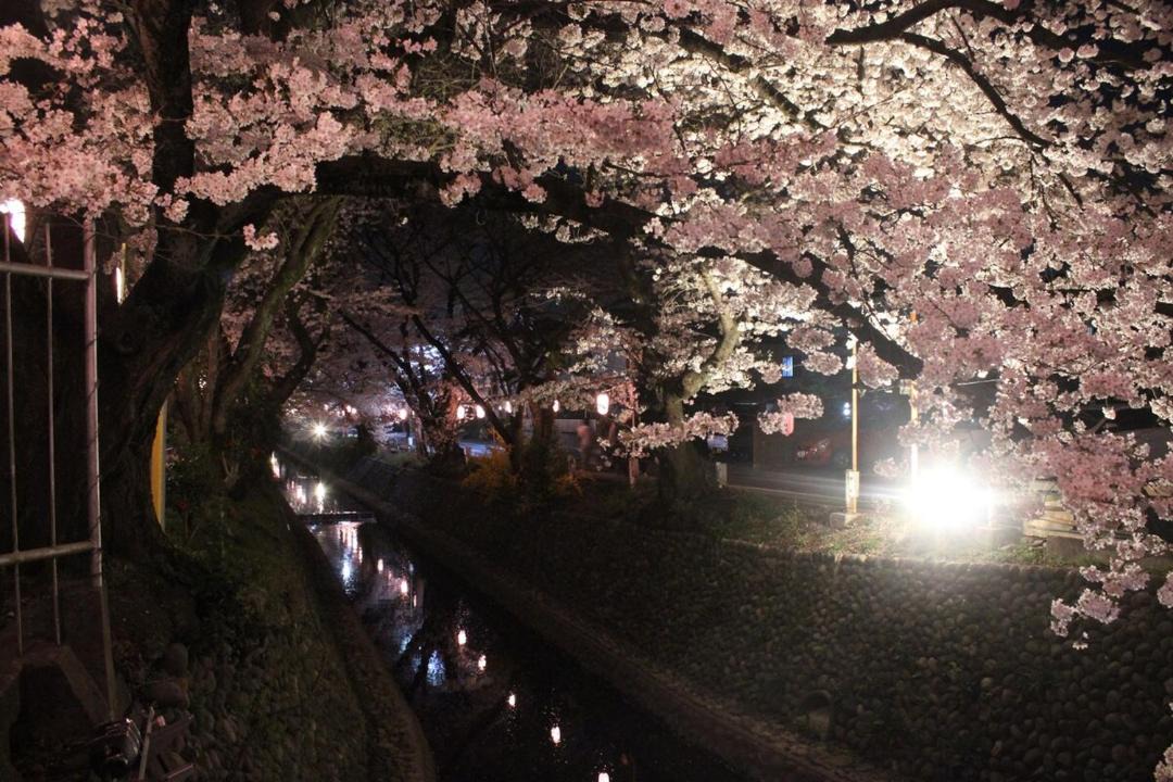 Photo of Others in Tokorozawa