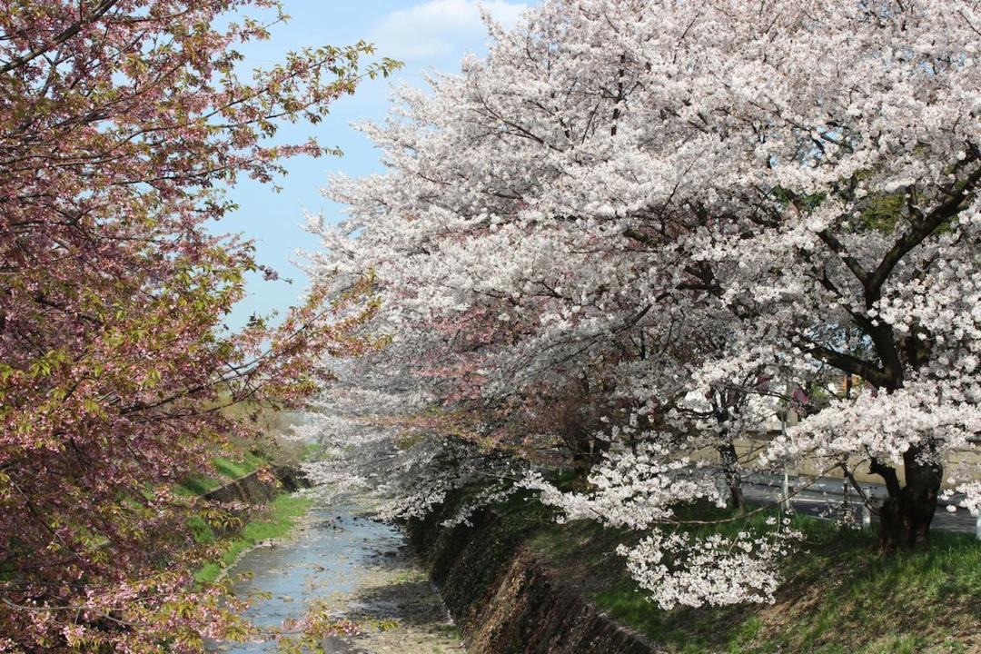 Photo of Others in Tokorozawa