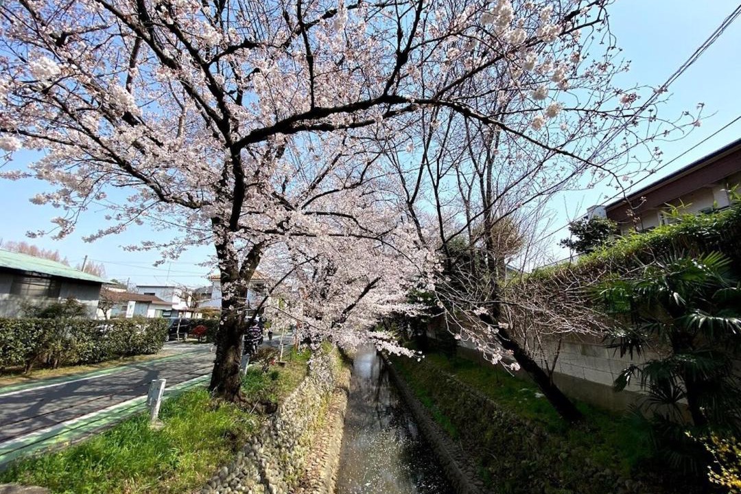Photo of Others in Tokorozawa