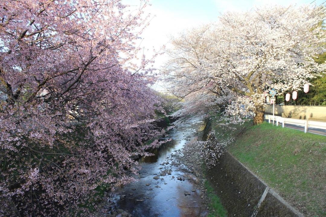 Photo of Others in Tokorozawa