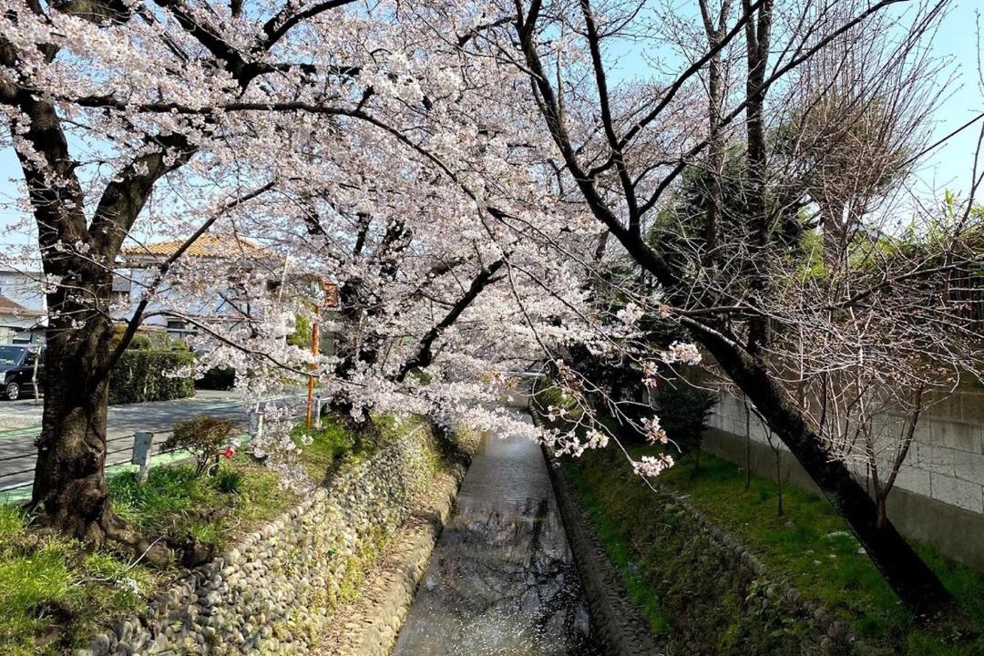 Photo of Others in Tokorozawa