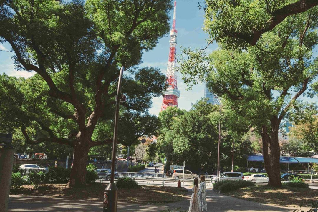 Photo of Others in Minato