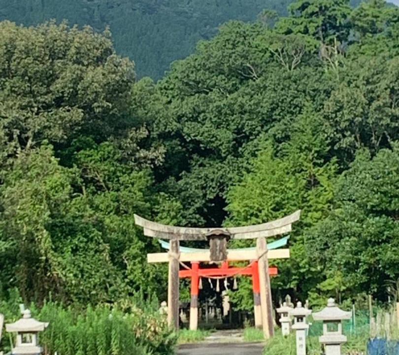 Photo of Others in Maizuru