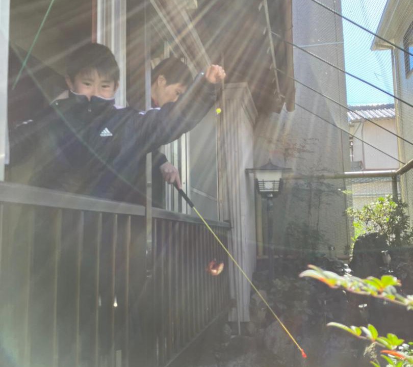 Photo of Others in Yaizu