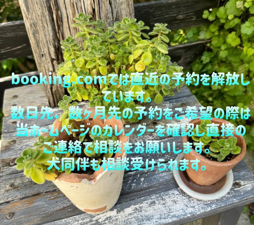 Photo of Others in Kamakura