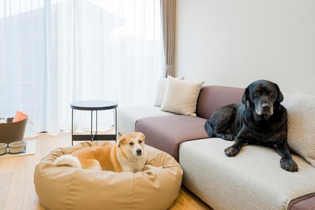 Photo of Livingroom in Kobuchisawacho