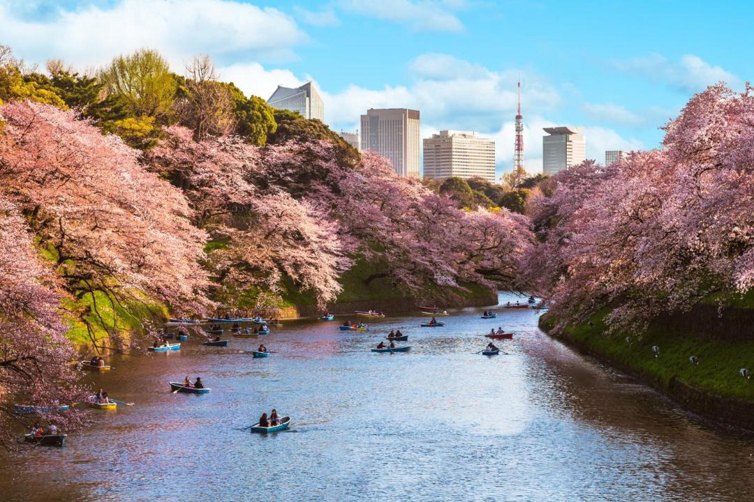 Photo of Others in Chiyoda