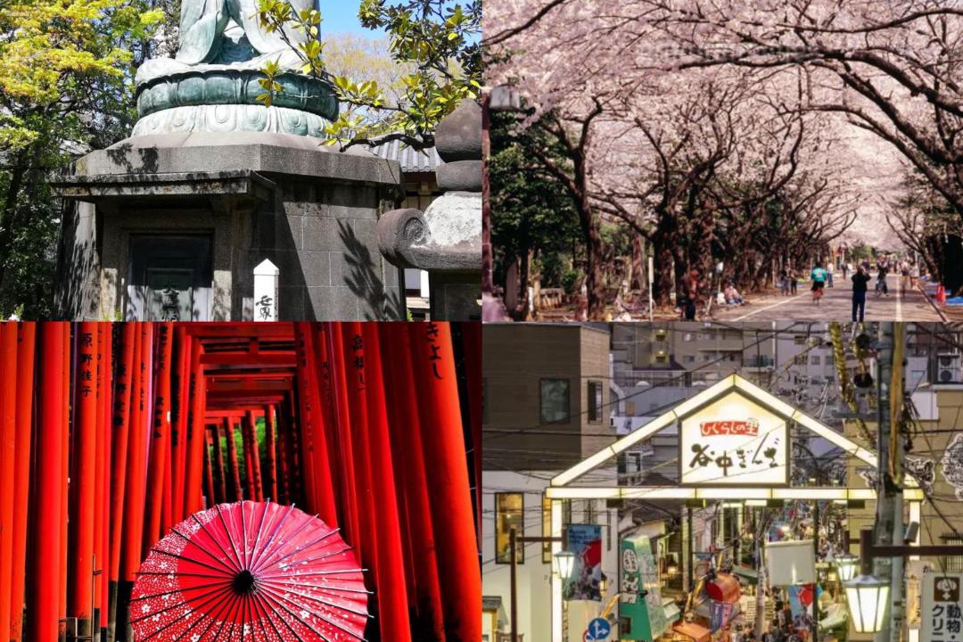 Photo of Others in Nezu