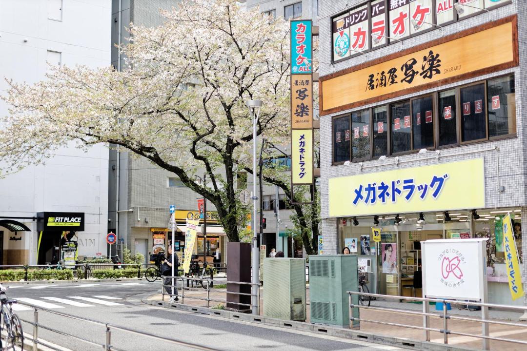 Photo of Others in Kita