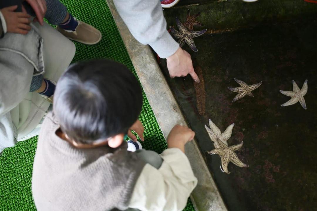 Photo of Others in Suooshima