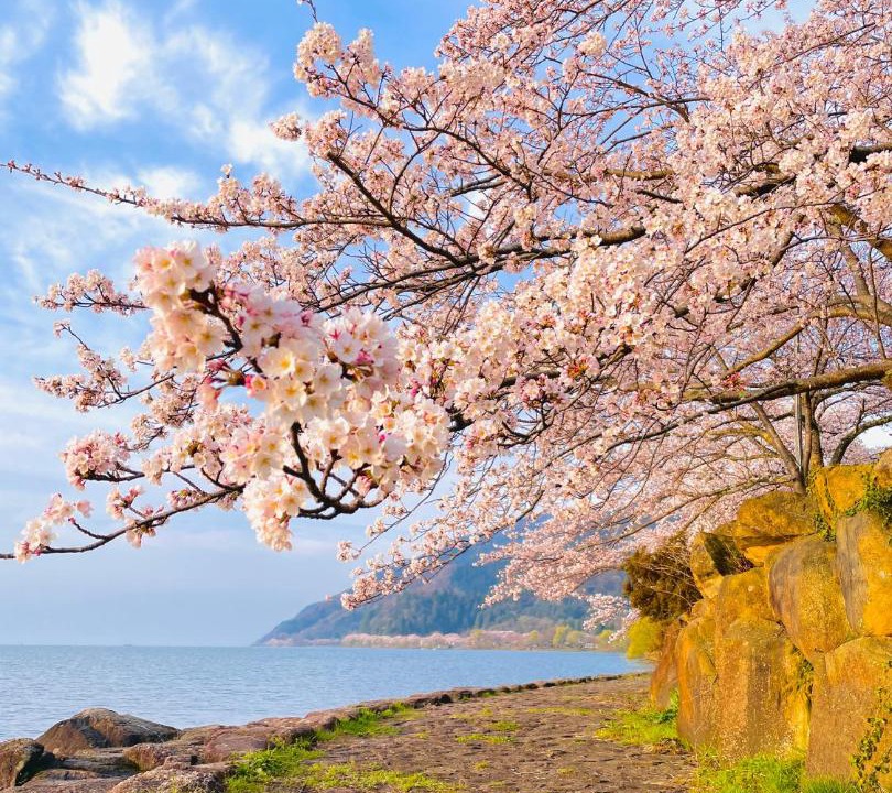 Photo of Others in Nagahama