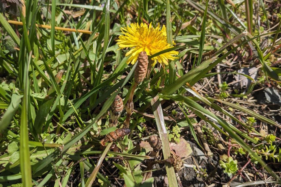 Photo of Others in Imazu