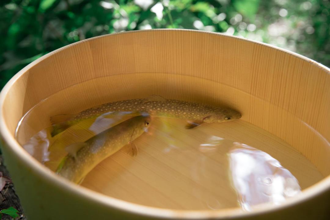Photo of Others in Shirakawa