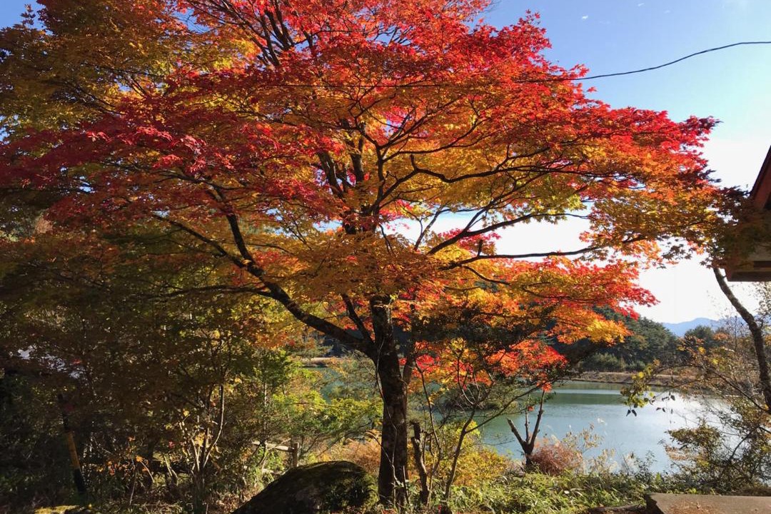 Photo of Others in Takagi-mura